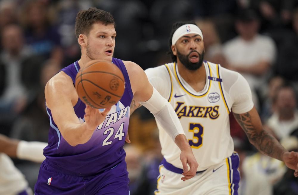 前叉撕裂属 前叉撕裂属